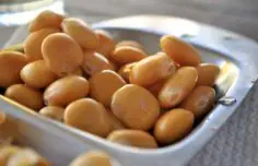 Tremoços (Lupini Beans) Recipe