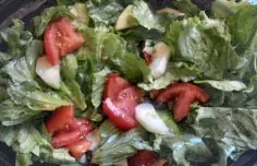 Paula's Easy Salad Dressing Recipe