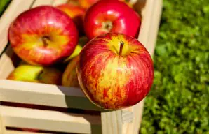 Simple and Healthy Apple and Orange Drink Recipe