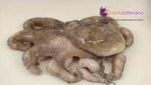 How to Clean a Octopus 
