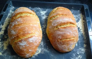 Crusty Homemade Bread Loaves Recipe