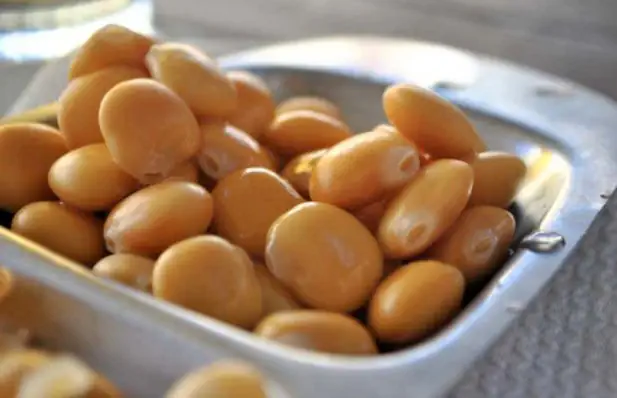 Tremoços (Lupini Beans) Recipe