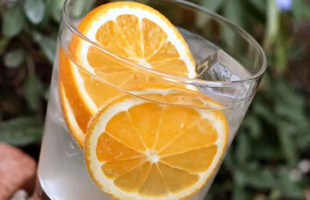 Orange Port and Tonic Cocktail Recipe