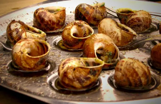 Portuguese-Style Snails with a Rich Broth Recipe